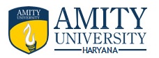 AMITY UNIVERSITY HARYANA 