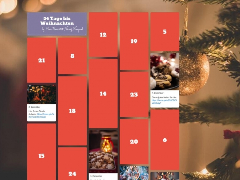 More than 700 schoolchildren and students studying German took part in the online Christmas marathon organized by Minin University